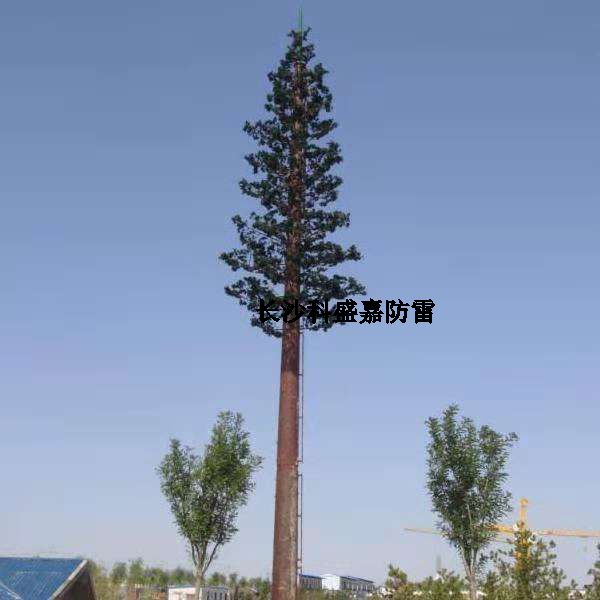 這是什么？看到圖先猜猜再進來，猜對了的都是公雞中的戰(zhàn)斗機